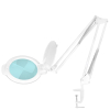 LAMPA LUPA LED MOONLIGHT 8013/6" WHITE DO BLATU